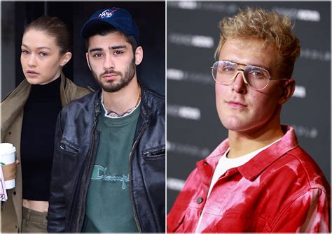 Zayn Malik Tacl Par Jake Paul Gigi Hadid Sort Les Griffes