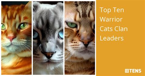 Top Ten Warrior Cats Clan Leaders Thetoptens