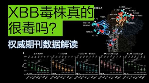 新冠xbb毒株，最新研究结果全面解析 Youtube