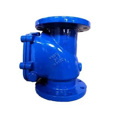 Cast Iron Reflux Non Return Valve At Rs Piece Ci Reflux Valve In