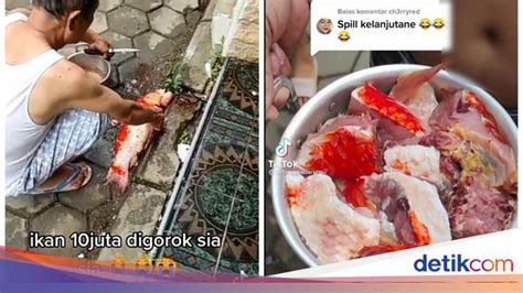 Fakta Atlas Beach Milik Hotman Paris Hingga Ikan Koi Rp 10 Juta Dimasak