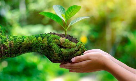 Impact of UN Policies about Environment | Lumina Homes 