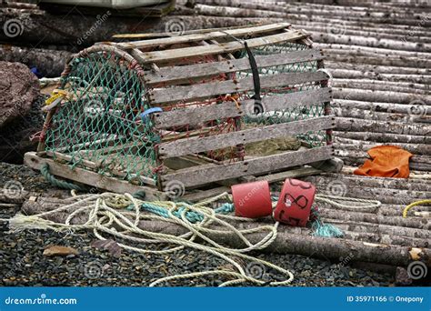 Newfoundland Lobster Trap Stock Photo Image Of Wharf