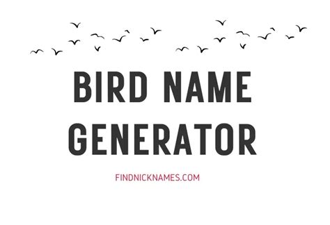 Bird Name Generator Find Nicknames