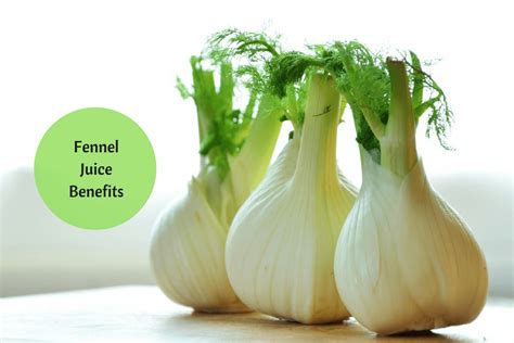 Are You Aware Of These Fennel Juice Health Benefits