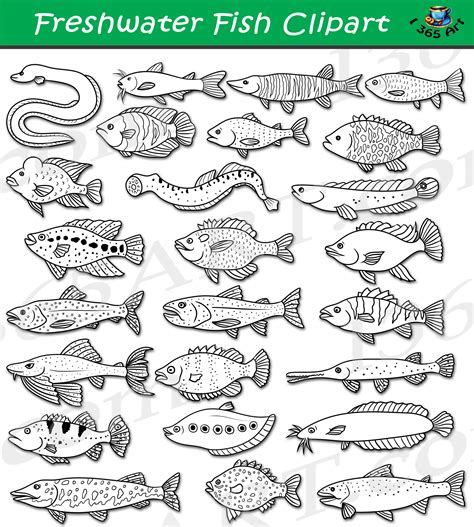 Types Of Fish Clipart - Infoupdate.org