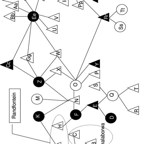 Diagram Of A Sexual Network Showing The Three Main Network Hubs Download Scientific Diagram