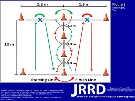 Agility Scores At Jessica Vandyke Blog