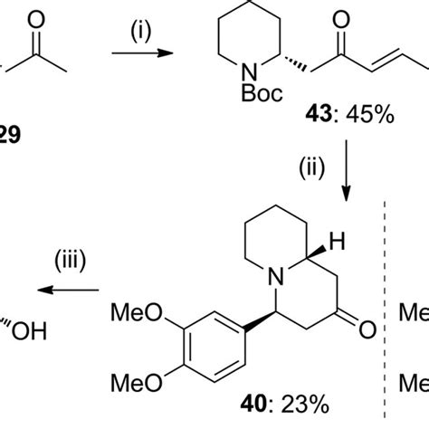 Indolizidine And Quinolizidine Alkaloids Structures Of Myrtine