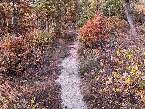 Still stunning: Indiana Dunes remain scenic in fall, winter – U-High Midway