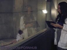 Honey Foxxx Fucka Guy Mouth Trans Porn Pornhub