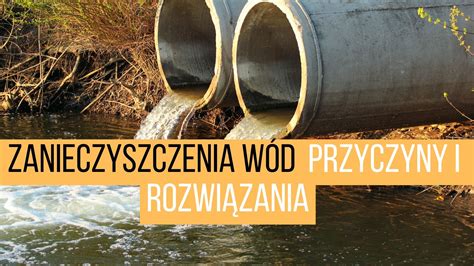 Zanieczyszczenia W D Przyczyny Rodzaje I Sposoby Ochrony