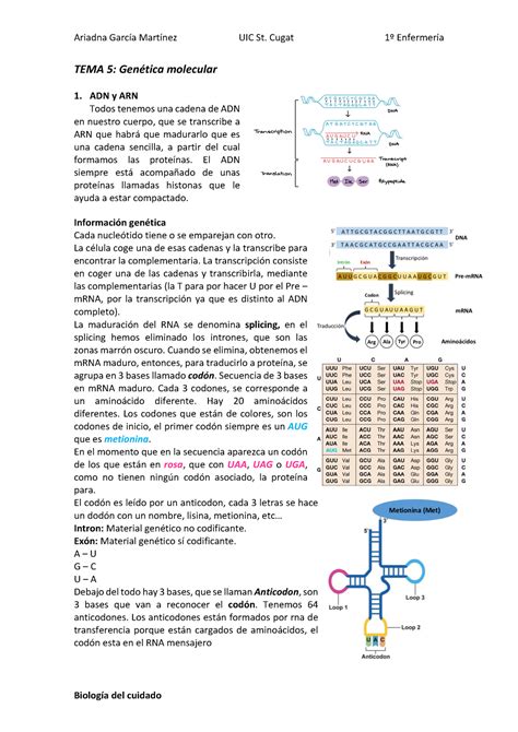 Genética molecular Warning TT undefined function 32 TEMA 5