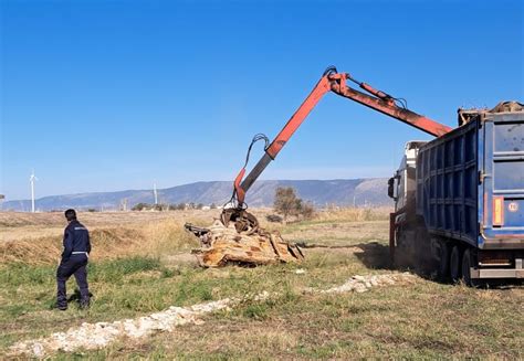 Foggia Rinvenute Carcasse Di Auto Oggetto Di Furto