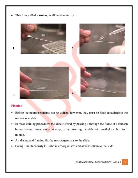 SOLUTION: Identification of bacteria staining techniques - Studypool 