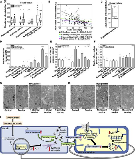 N Acyl Taurines And Acylcarnitines Cause An Imbalance In Insulin