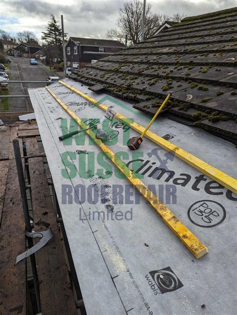Membrane Repair