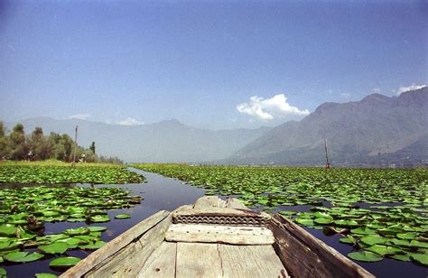 Namgyal Monastery, Mcleodganj: How To Reach, Best Time & Tips