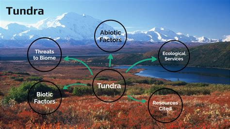 Arctic Tundra Abiotic Factors