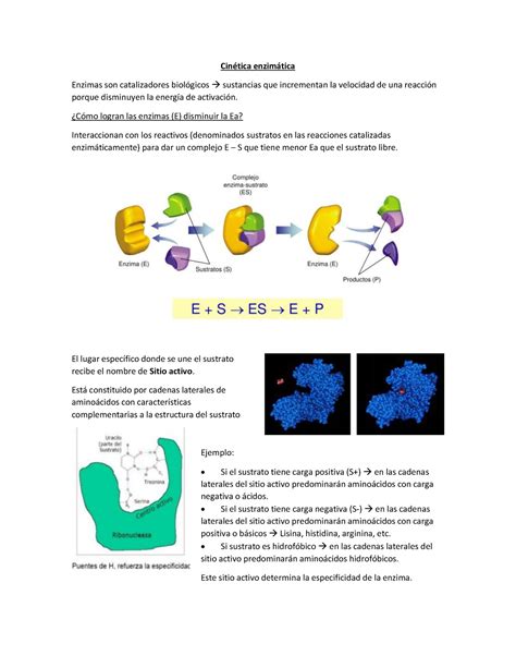 Tp Cin Tica Enzim Tica Cin Tica Enzimtica Enzimas Son