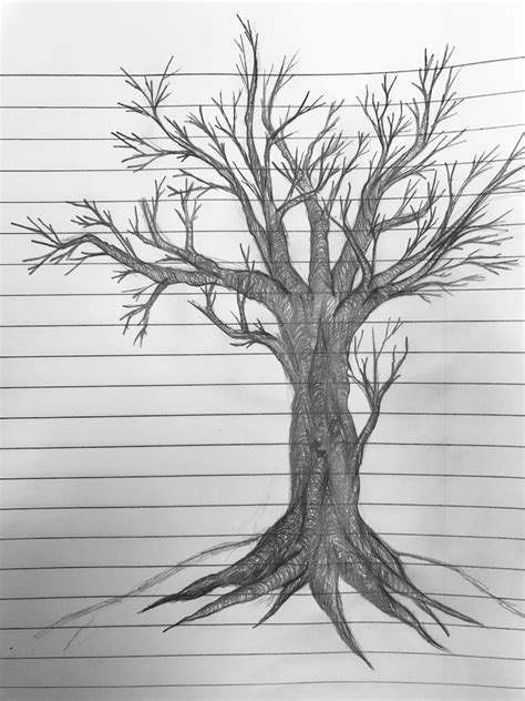 Simple Pencil Simple Tree Drawing Images - Perangkat Sekolah