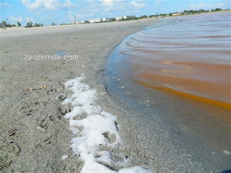 Грязелечение в Заозёрном | Заозёрное. Евпатория. Крым