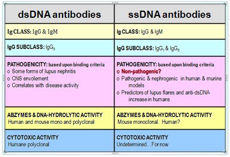 Comparison And Analysis Of Different Methods For Purification Of Autoimmune Antibody Reactive