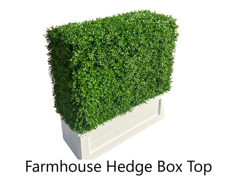 Hedge Boxes