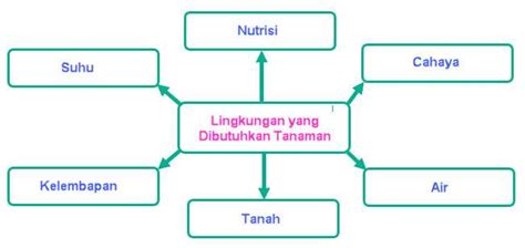 Peta Konsep Yang Benar