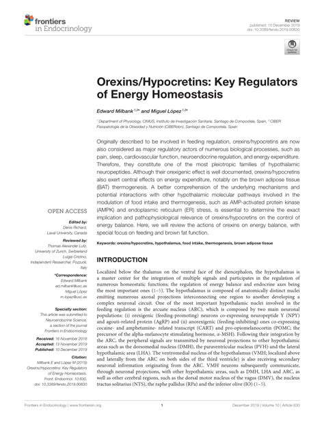 Pdf Orexins Hypocretins Key Regulators Of Energy Homeostasis