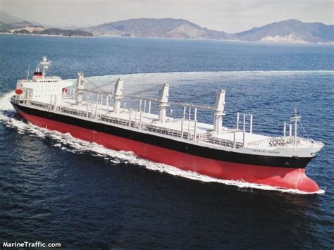 Ship Alpha Bulker Bulk Carrier Registered In Panama Vessel Details