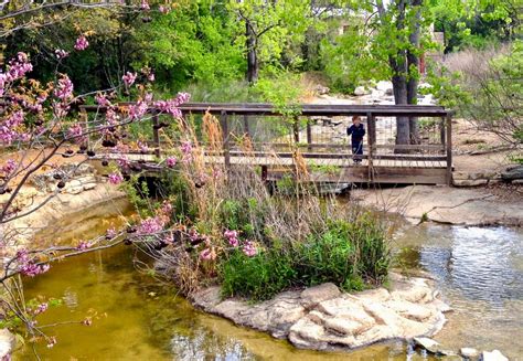 Austin.com Austin nature and Science Center - Animals, Dino Bones, and More