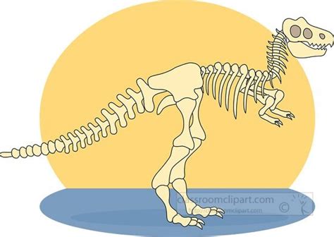 Dinosaur Clipart Dinosaur Anatomy Skeleton Clipart