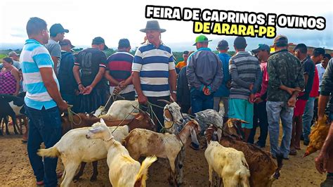 FEIRA DE CAPRINOS E OVINOS DE ARARA PB 22 05 2023 YouTube