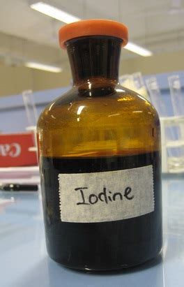 Iodine solution is used in test for - Child Article