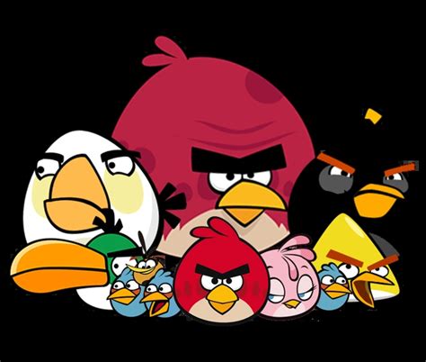 Pássaros | Wiki Angry Birds | Fandom