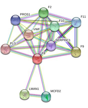 Factor VIII Protein Overview | Sino Biological