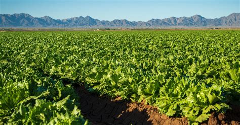 Fast Facts About Agriculture & Food | American Farm Bureau Federation 