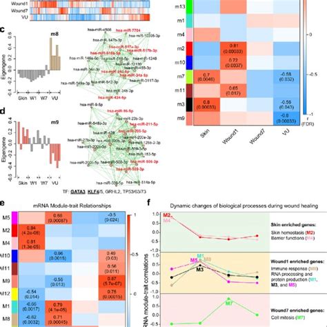 Weighted Gene Coexpression Network Analysis Wgcna Of Mirnas And Mrnas