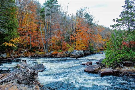 First Fall Foliage Report in CNY