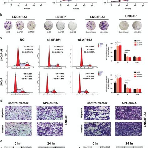 Ap Increases The Proliferation Migration And Invasion Of Pca Cells In