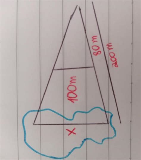 URGENTE Para Calcular A Largura X De Um Lago Usou Se O Esquema