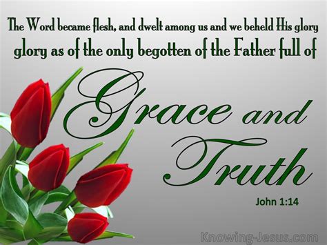 John 1 14 Full Of Grace And Truth Green