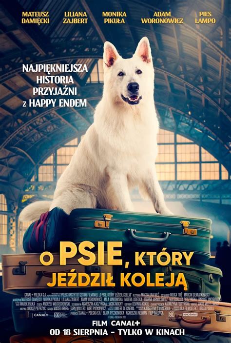 O psie który jeździł koleją