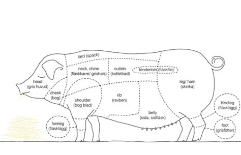 Cuts Of Bacon Bacon Wiki