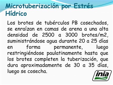 Tecnologia De Produccion De Semilla Prebasica De Ladislao Palomino