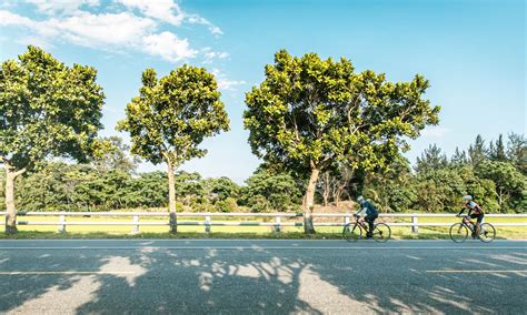 振興震後花蓮觀光方案懶人包｜旅遊住宿補助每晚省千元、台灣好行花東線免費搭乘 活動大聲公 微笑台灣 用深度旅遊體驗鄉鎮魅力