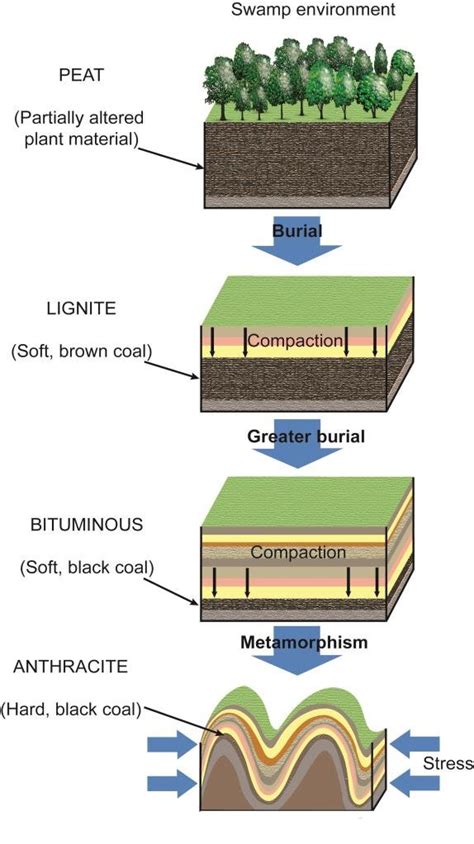 Peat Lignite Bituminous Anthracite