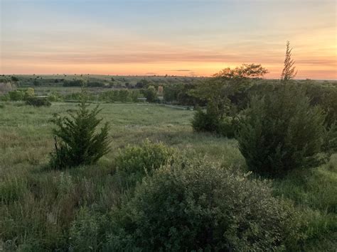 Cedar Bluff – Evening Grain