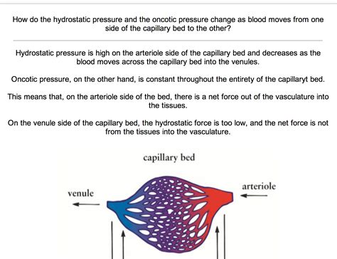 hydrostatic and oncotic pressure- need help!! : r/Mcat